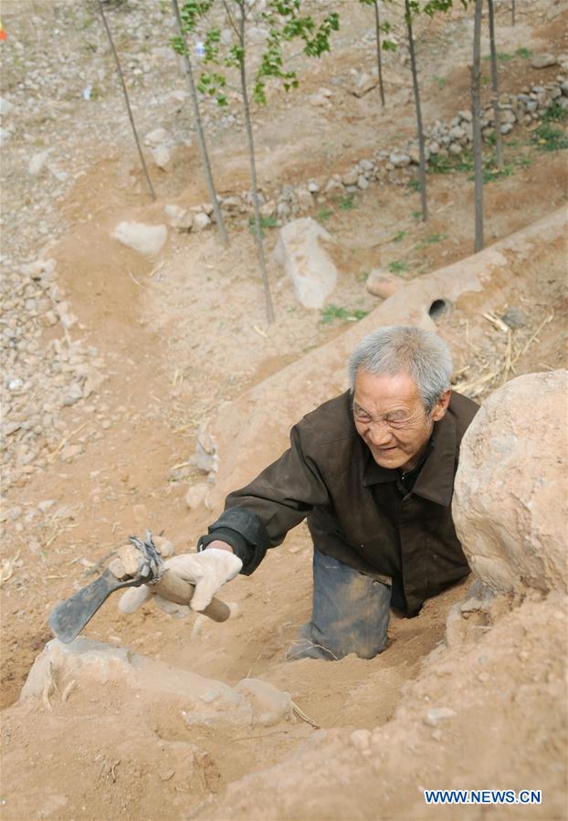 CHINA-HEBEI-SHIJIAZHUANG-VETERAN-TREES (CN)