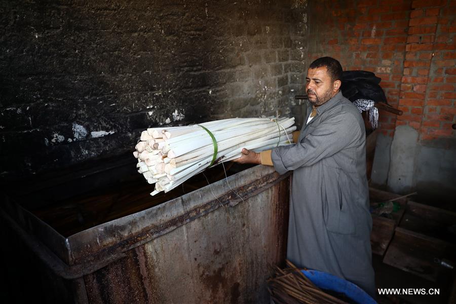 EGYPT-SHARQIYA-PAPYRUS MAKING