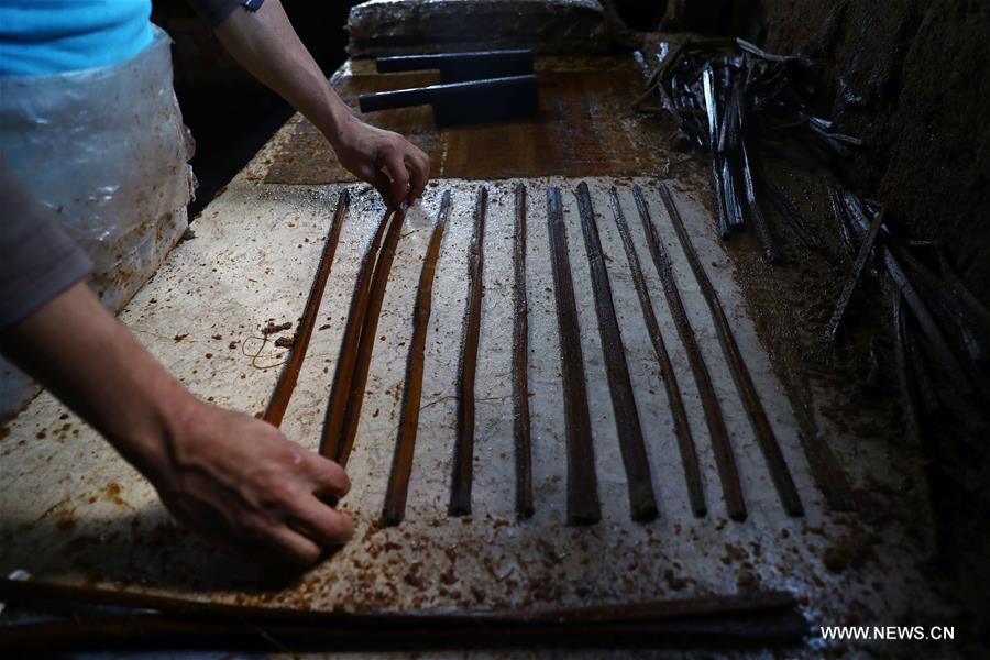 EGYPT-SHARQIYA-PAPYRUS MAKING