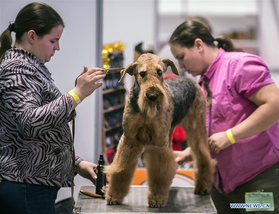 LITHUANIA-VILNIUS-DOG SHOW