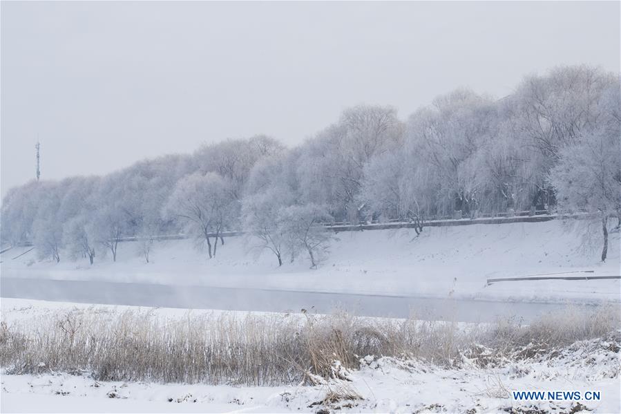 CHINA-HEILONGJIANG-HARBIN-RIME SCENERY (CN)