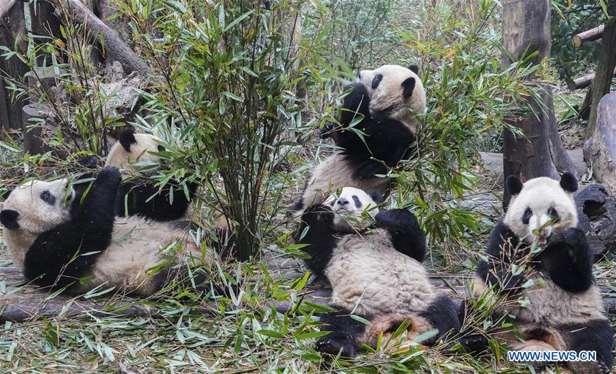 XINHUA PHOTOS OF THE DAY