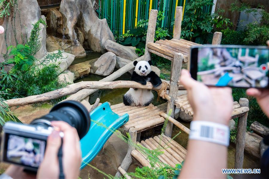 MALAYSIA-KUALA LUMPUR-GIANT PANDA-BIRTHDAY