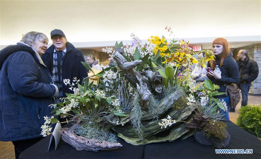 CANADA-TORONTO-ORCHID SHOW