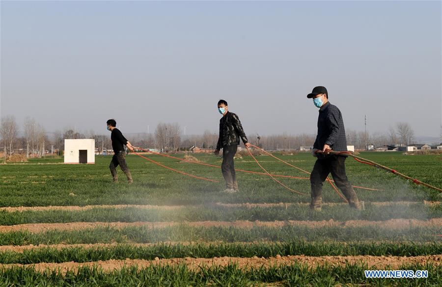 CHINA-HENAN-JIAXIAN-FARMING (CN)