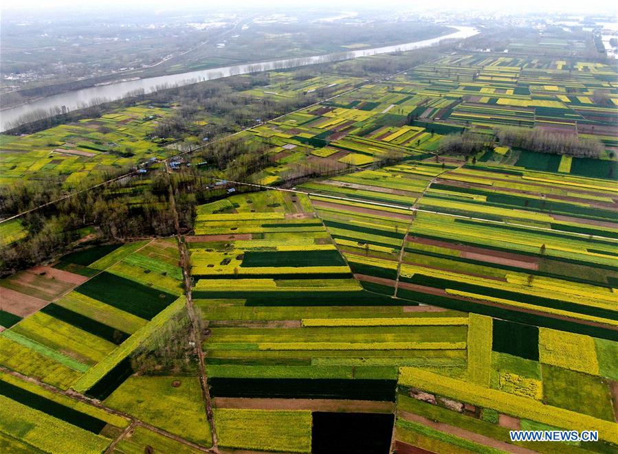 CHINA-HENAN-SPRING SCENERY (CN)