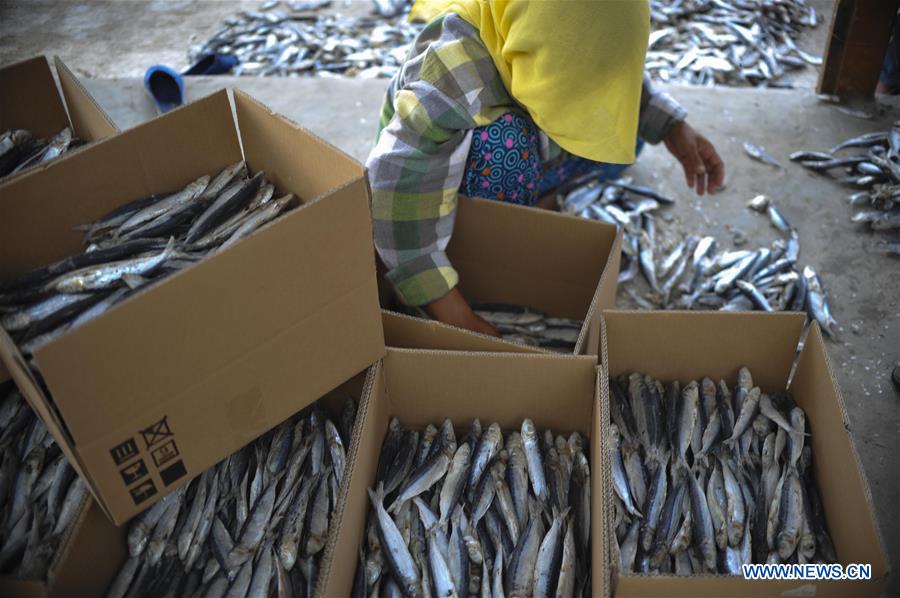 INDONESIA-JAKARTA-DRY FISH-DAILY LIFE 