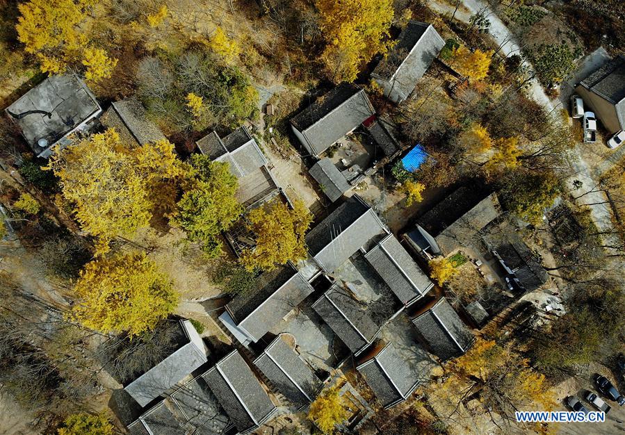 CHINA-HENAN-VILLAGE-AUTUMN SCENERY (CN)