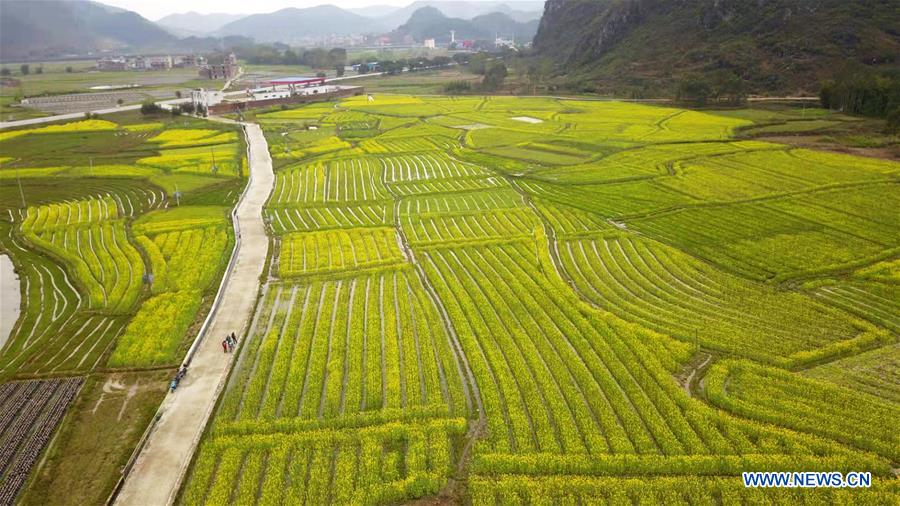 #CHINA-SPRING-SCENERY (CN)