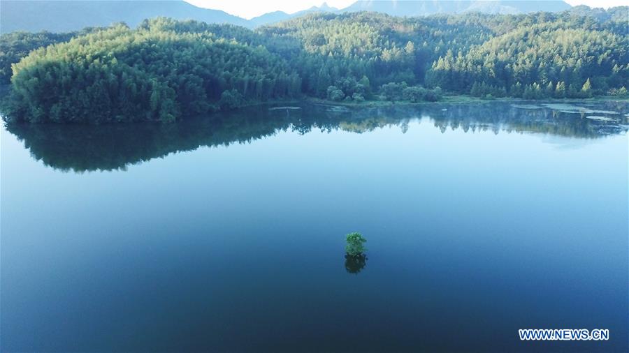 CHINA-ANHUI-YIXIAN-SUMMER SCENERY (CN)