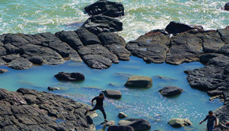 Scenery in coastal volcano park in SE China's Fujian