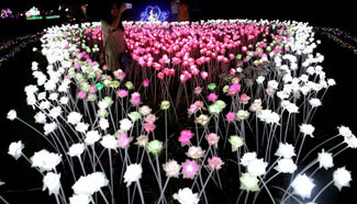 People enjoy Myanmar Int'l Lighting Festival