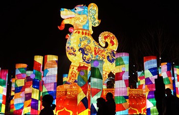 Lantern fair held in Zhengzhou, central China's Henan