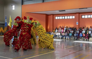 Chinese Community in S. Africa marks Int'l Nelson Mandela Day