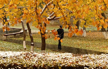 Snow falls in Changchun, NE China's Jilin