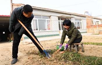 Pic story: disabled couple live self-reliant life in China's Inner Mongolia