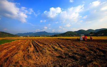 農(nóng)村土地制度改革試點(diǎn)意見(jiàn)出臺(tái)