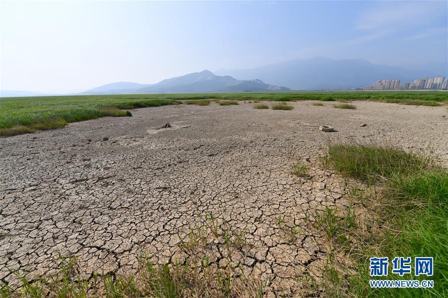 （圖文互動）（2）鄱陽湖提前出現(xiàn)低枯水位