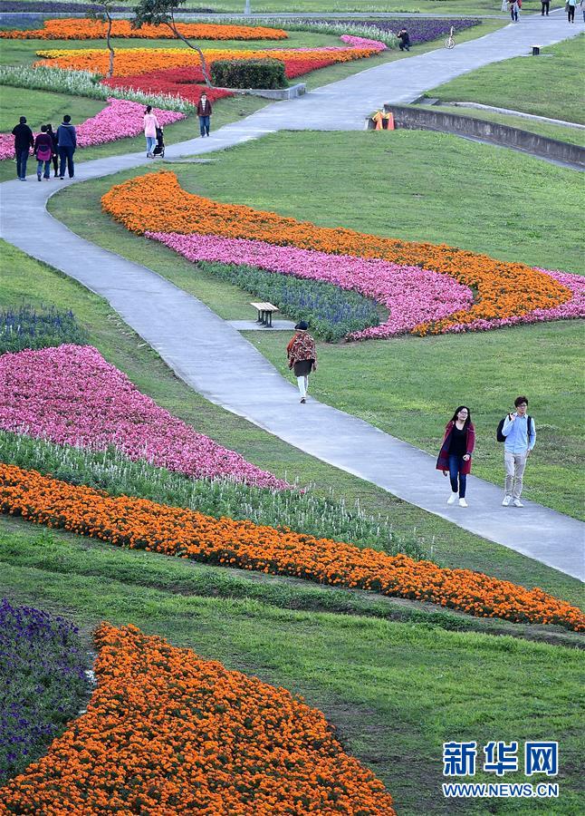 （社會(huì)）（2）臺(tái)北河濱公園花團(tuán)錦簇