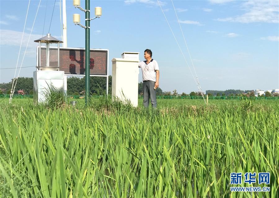 （新華全媒頭條·紀念改革開放40年特稿·圖文互動）（6）向著新航程揚帆奮進！——從小崗精神看中國改革開放40年