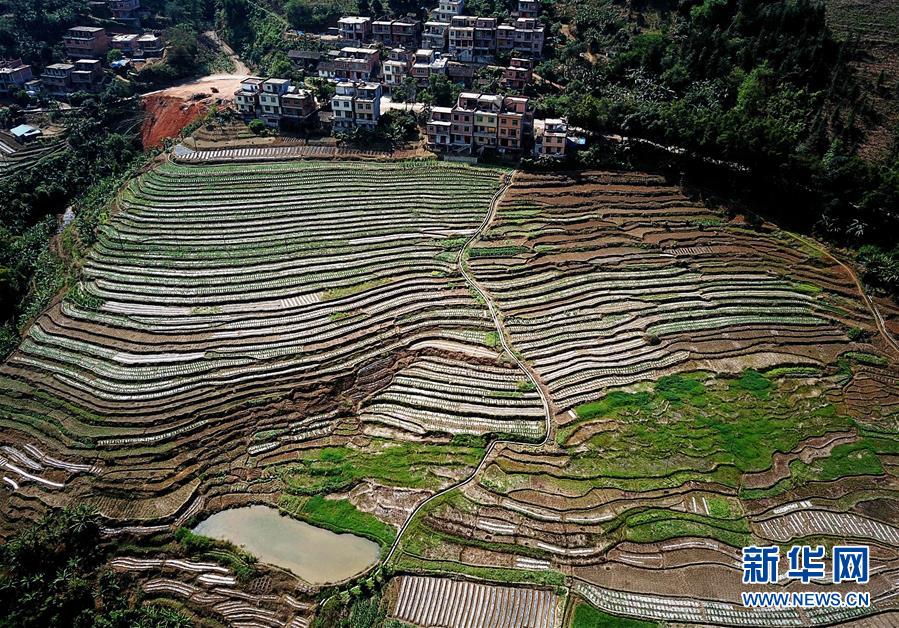 （春季美麗生態(tài)）（2）飛閱邊關(guān)山田春景