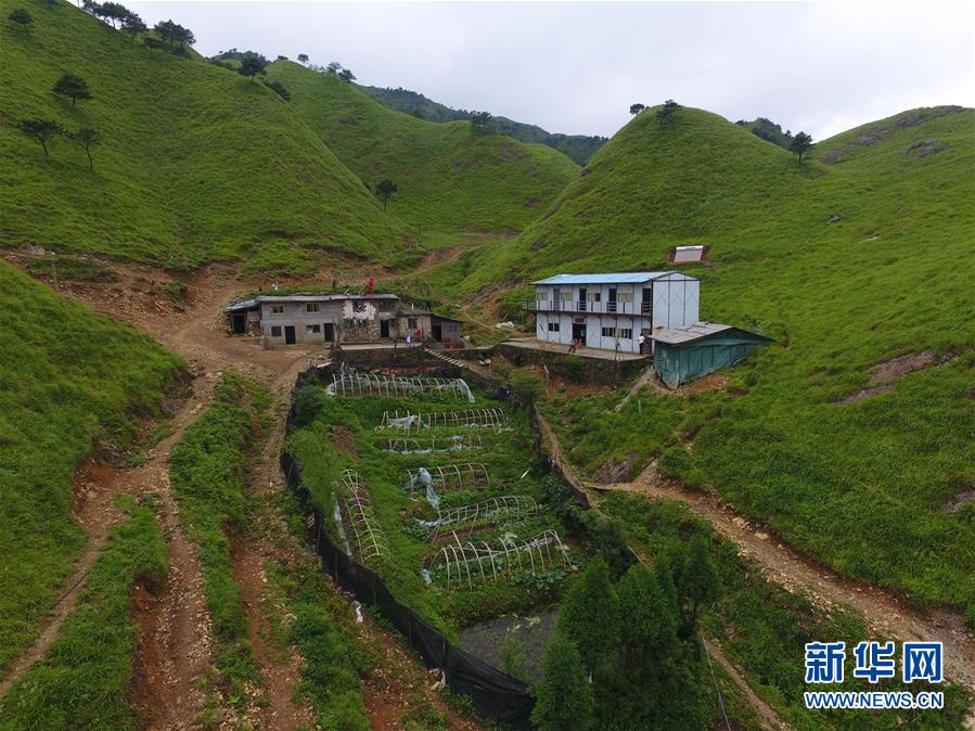 （新華全媒頭條·圖文互動）（3）一個人，一座山——劉真茂的生命守望