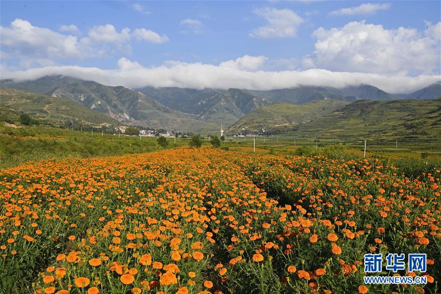 （新華全媒頭條·圖文互動）（8）中國扶貧的西海固答卷——寧夏奮進60年巡禮之脫貧攻堅篇