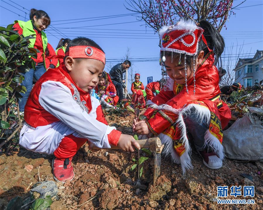 （社會(huì)）（2）多民族兒童共迎植樹(shù)節(jié)