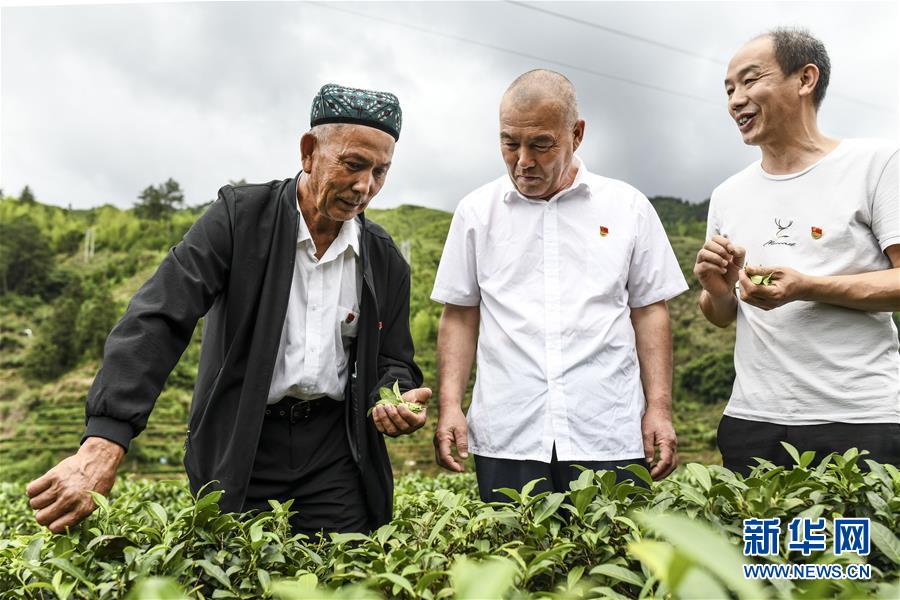 （新華全媒頭條·圖文互動）（7）同心援疆，“壯闊”祖國西北角