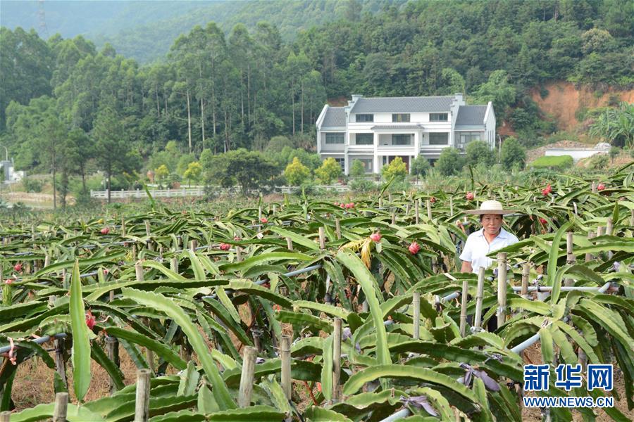 （在習(xí)近平新時代中國特色社會主義思想指引下——新時代新作為新篇章·總書記關(guān)心的百姓身邊事·圖文互動）（6）大污染變身“大寶藏”：治理畜禽糞污，他們這樣干！