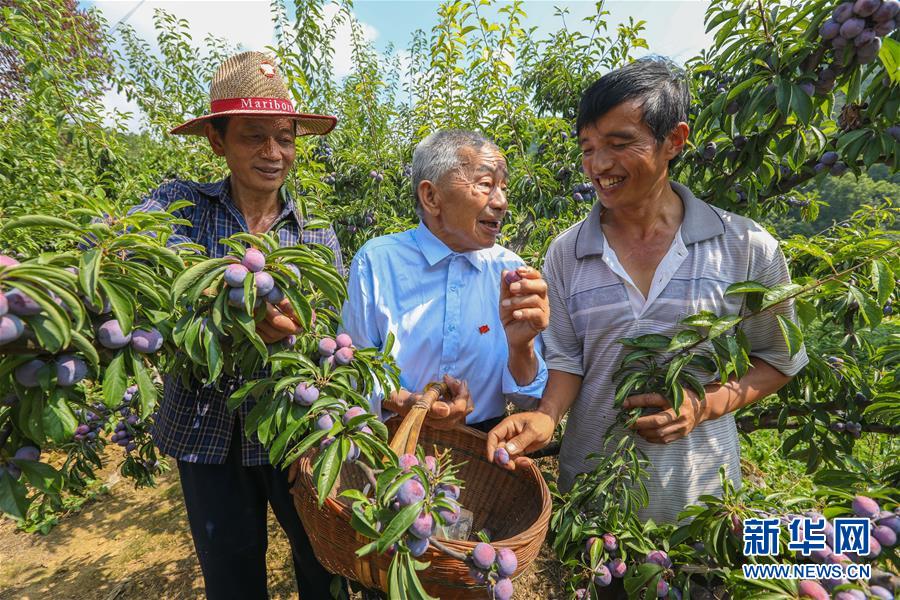 （新華全媒頭條·圖文互動）（1）凝聚民族復(fù)興的精神偉力——以習(xí)近平同志為核心的黨中央重視思想道德建設(shè)關(guān)心關(guān)愛道德模范紀實