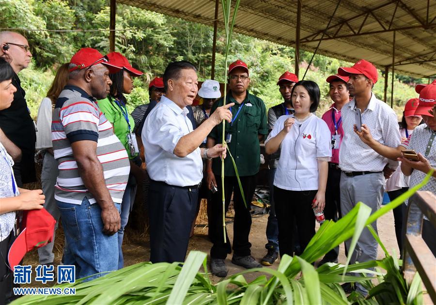 （不忘初心、牢記使命·圖文互動(dòng)）（5）拳拳寸草心 濃濃報(bào)國(guó)情——記“菌草之父”林占熺