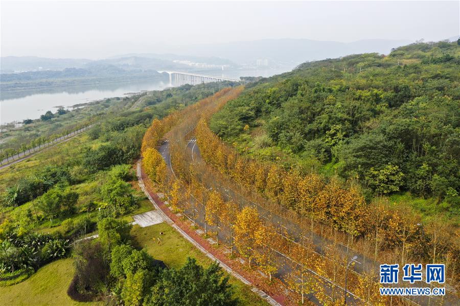 （四中全會精神在基層·圖文互動）（4）一江碧水串起綠色島鏈——重慶江心島“生態(tài)留白”調(diào)查