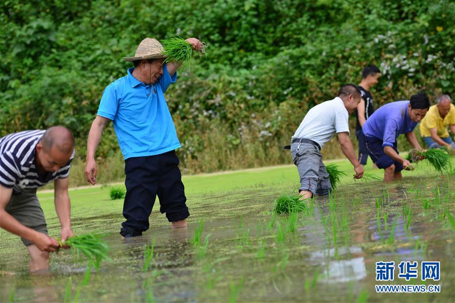 （新華全媒頭條·圖文互動）（8）干部去哪兒了？——貴州干部大規(guī)模下沉脫貧攻堅(jiān)一線紀(jì)實(shí)