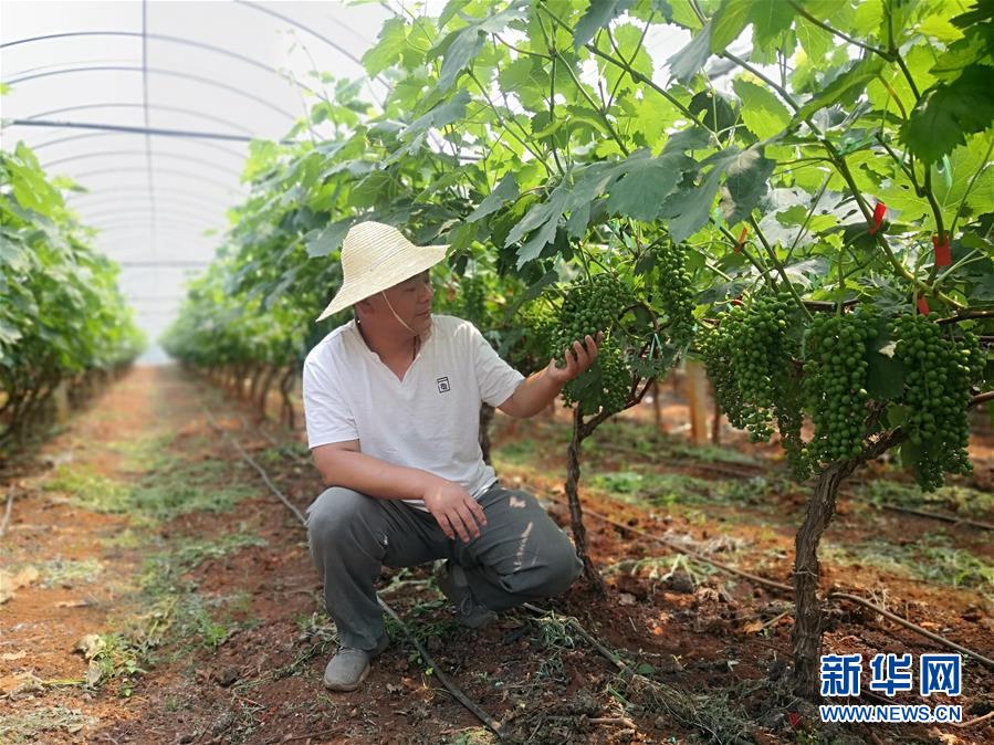 （新華全媒頭條·圖文互動(dòng)）（11）春色最濃在田間——來(lái)自全國(guó)春耕備耕的現(xiàn)場(chǎng)觀(guān)察