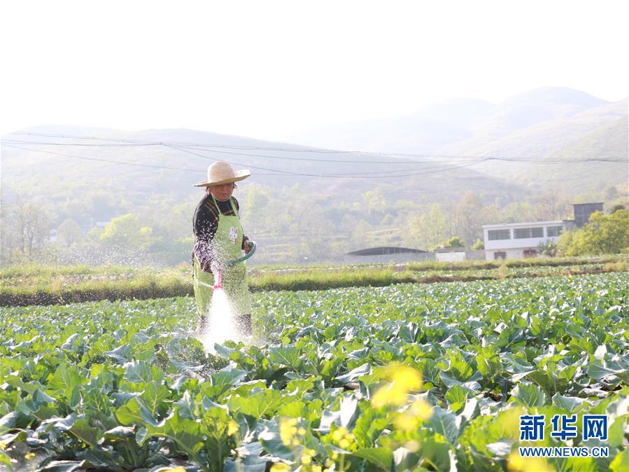 （決戰(zhàn)決勝脫貧攻堅(jiān)·圖文互動(dòng)）（3）逐項(xiàng)逐戶(hù)排查補(bǔ)齊脫貧攻堅(jiān)“短板”——貴州晴隆縣扶貧一線工作見(jiàn)聞 