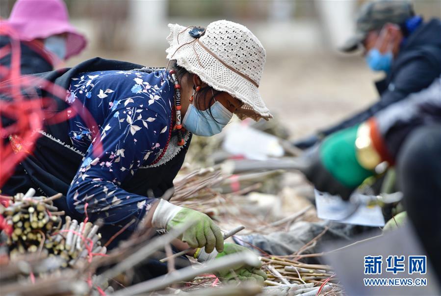 （新華全媒頭條·圖文互動）（13）三江之源見證中國奇跡——寫在玉樹地震10周年之際