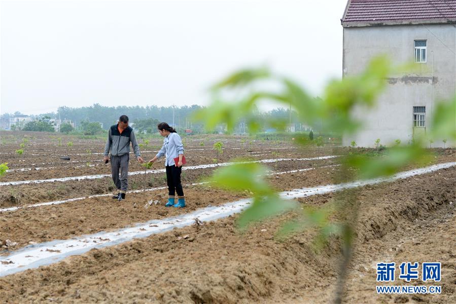 （代表委員履職）（1）全國人大代表王萌萌：產業(yè)興旺讓鄉(xiāng)村振興更有底氣