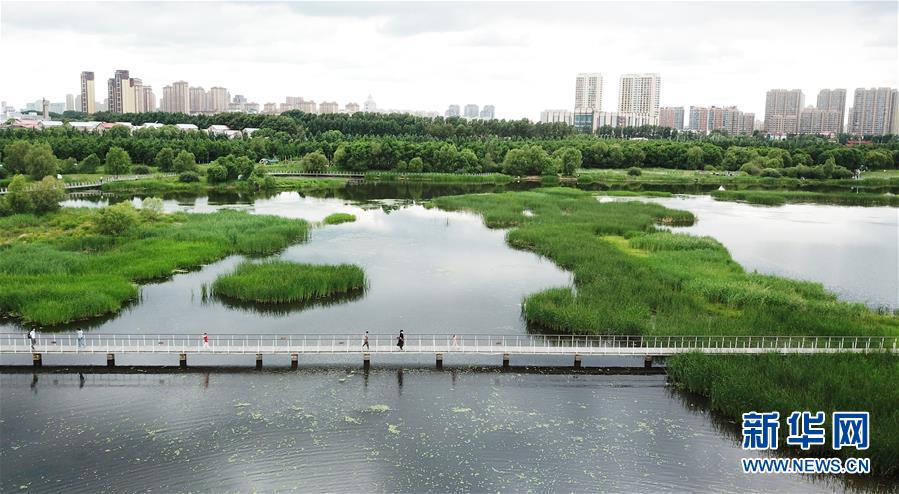 （走向我們的小康生活·圖文互動）（1）水清、地綠、空氣新——最北省份黑龍江繪就生態(tài)治理新畫卷