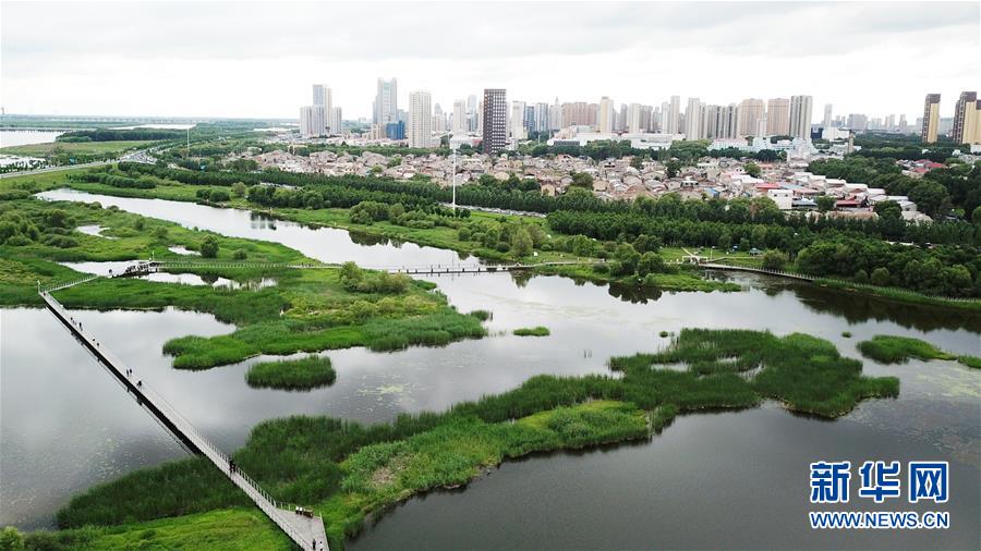 （走向我們的小康生活·圖文互動）（2）水清、地綠、空氣新——最北省份黑龍江繪就生態(tài)治理新畫卷