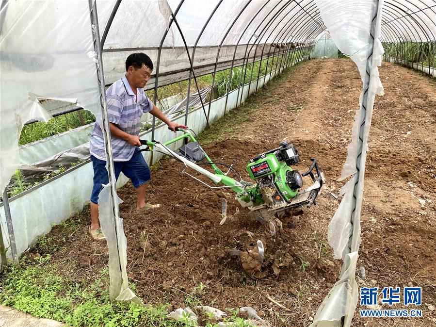 （防汛抗洪·圖文互動）（3）修路通水忙重建 補種搶收復(fù)生產(chǎn)——湘西山洪后恢復(fù)生產(chǎn)生活見聞