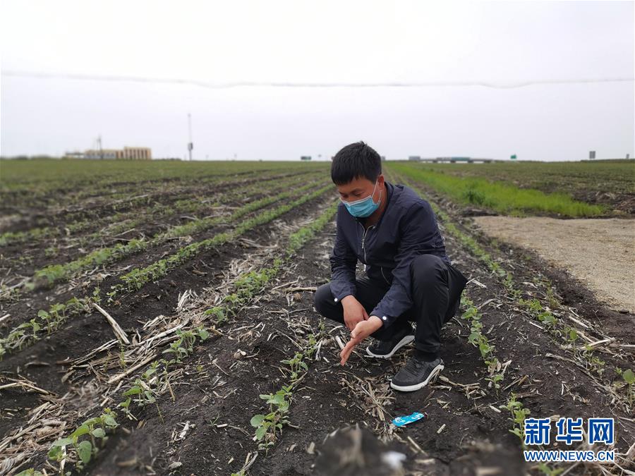 （在習(xí)近平新時(shí)代中國(guó)特色社會(huì)主義思想指引下——新時(shí)代新作為新篇章·習(xí)近平總書(shū)記關(guān)切事·圖文互動(dòng)）（4）讓百姓吃得飽還要吃得好——夯實(shí)糧食安全基礎(chǔ)端牢中國(guó)飯碗