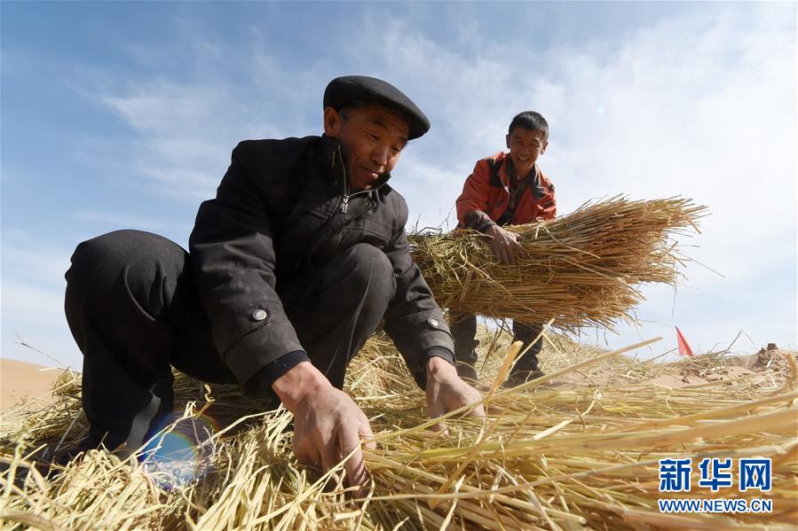 （在習(xí)近平新時(shí)代中國特色社會(huì)主義思想指引下——新時(shí)代新作為新篇章·習(xí)近平總書記關(guān)切事·圖文互動(dòng)）（5）綠色映底蘊(yùn)，山水見初心——生態(tài)優(yōu)先、綠色發(fā)展持續(xù)造福群眾美好生活