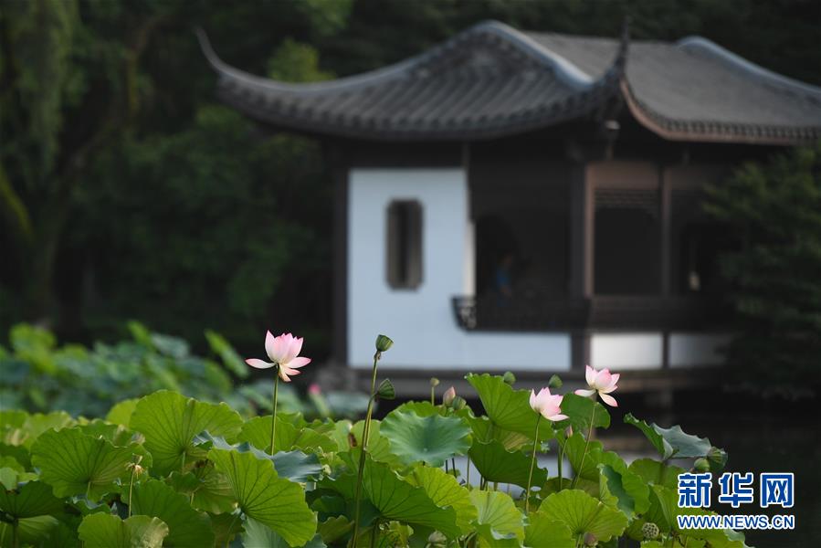 （新華全媒頭條·圖文互動）（7）錢塘今朝更繁華——高水平小康的“杭州答卷”