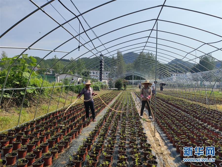 （決戰(zhàn)決勝脫貧攻堅·圖文互動）（3）安居樂業(yè)并重，搬遷脫貧同步——湖北88萬搬遷群眾脫貧觀察 