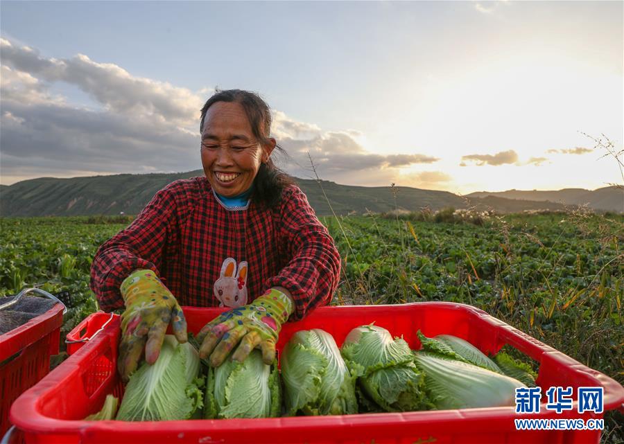 （新華全媒頭條·決戰(zhàn)決勝脫貧攻堅·督戰(zhàn)未摘帽貧困縣·圖文互動）（1）不獲全勝，決不收兵——全國52個掛牌督戰(zhàn)貧困縣脫貧攻堅紀(jì)實