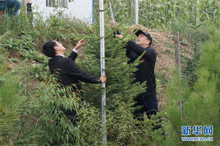 （決戰(zhàn)決勝脫貧攻堅·圖文互動）（2）甘肅定西黃土高坡上，有片“福州林”