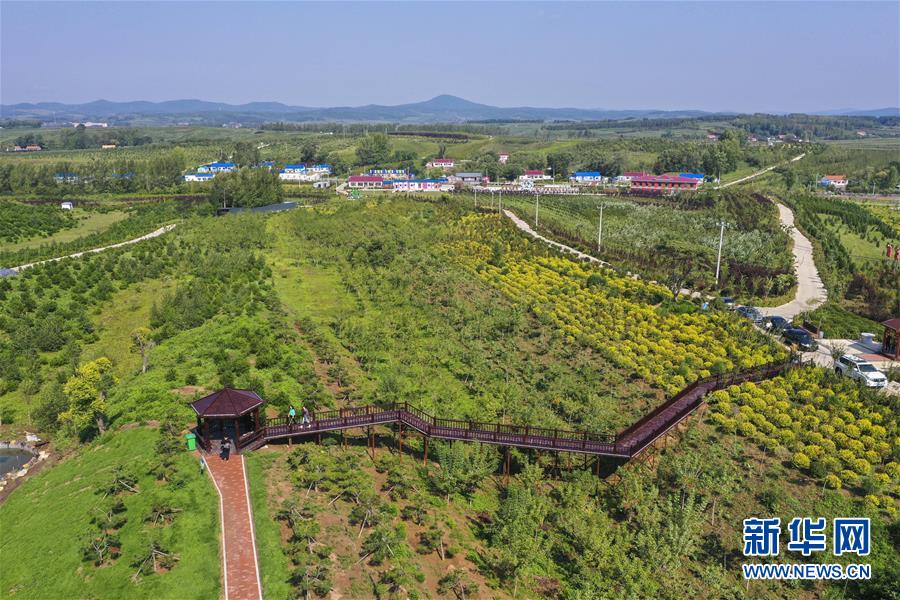 （新華全媒頭條·走向我們的小康生活·圖文互動）（16）黑土地上是我家——在吉林，一瞥中國東北鄉(xiāng)村美麗未來