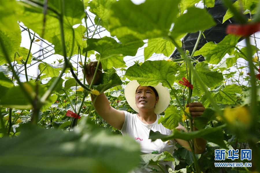 （新華全媒頭條·百萬大移民·圖文互動）（1）從大山深處到大河之畔——寧夏持續(xù)移民百萬“拔窮根”啟示