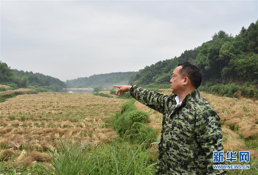 （代表委員履職·圖文互動）（2）“我是農(nóng)民代表，始終關注農(nóng)村”——全國人大代表沈昌健的履職故事